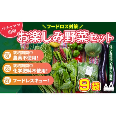 お楽しみ★農園自慢の情熱野菜セット9袋　フードロス対策　訳あり
