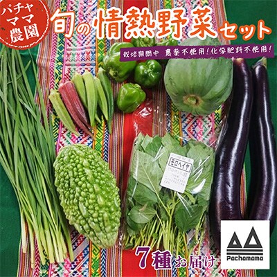 農園自慢の情熱野菜セット(7品)