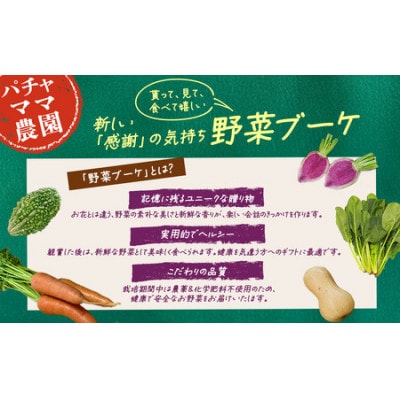 野菜ブーケと情熱野菜セット9品　通常ギフト　メッセージカードつき