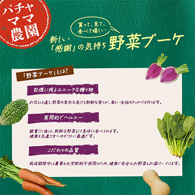 野菜ブーケと情熱野菜セット9品　通常ギフト　メッセージカードつき