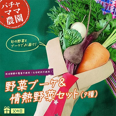 【先行受付】野菜ブーケ&情熱野菜セット(9品) 父の日ギフト メッセージカード付き