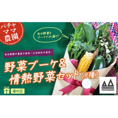 【先行受付】野菜ブーケ&情熱野菜セット(9品) 母の日ギフト メッセージカード付き