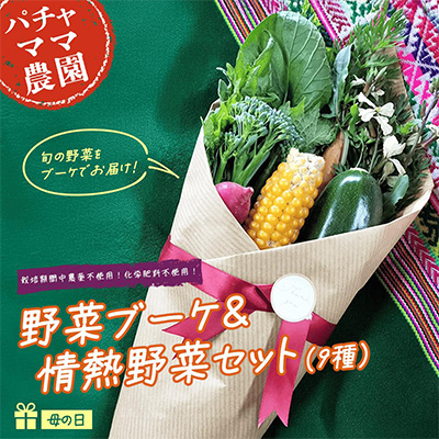 【先行受付】野菜ブーケ&情熱野菜セット(9品) 母の日ギフト メッセージカード付き