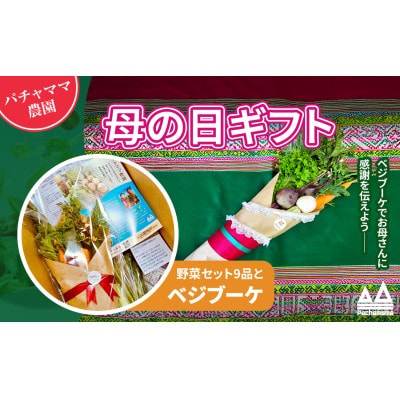 【先行受付】野菜ブーケ&情熱野菜セット(9品) 母の日ギフト メッセージカード付き