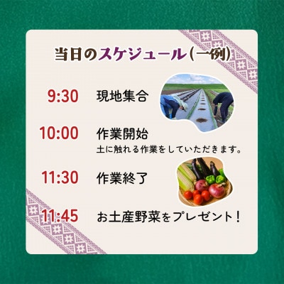 【土にふれて学ぶ】農業体験チケット(2時間/2名)+お土産野菜付き 1枚