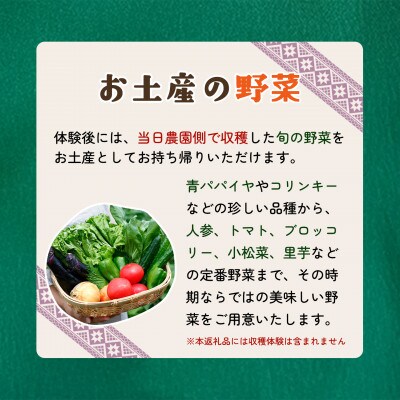【土にふれて学ぶ】農業体験チケット(2時間/3名)+お土産野菜付き 1枚