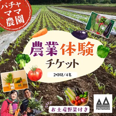 【土にふれて学ぶ】農業体験チケット(2時間/4名)+お土産野菜付き 1枚