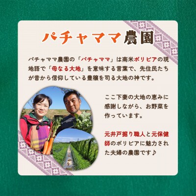 【土にふれて学ぶ】農業体験チケット(2時間/4名)+お土産野菜付き 1枚
