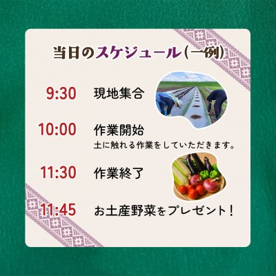 【土にふれて学ぶ】農業体験チケット(2時間/4名)+お土産野菜付き 1枚