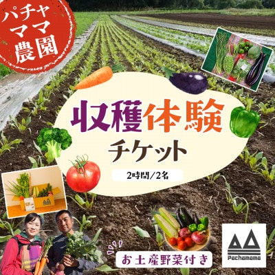 【採れたてを楽しむ】季節の野菜 収穫体験チケット(2時間/2名)+野菜持ち帰り 1枚