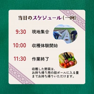 【採れたてを楽しむ】季節の野菜 収穫体験チケット(2時間/2名)+野菜持ち帰り 1枚