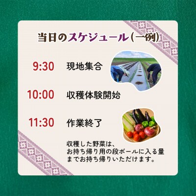 【採れたてを楽しむ】季節の野菜 収穫体験チケット(2時間/3名)+野菜持ち帰り 1枚