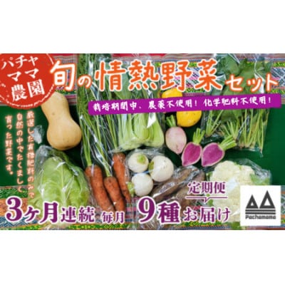 【毎月定期便】農園自慢の情熱野菜セット9品(種類おまかせ)全3回