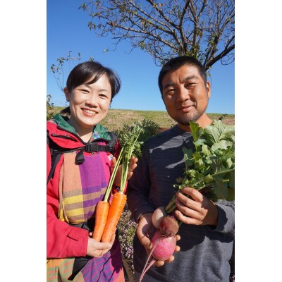 【毎月定期便】農園自慢の情熱野菜セット9品(種類おまかせ)全6回