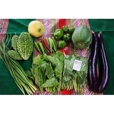 【毎月定期便】農園自慢の情熱野菜セット9品(種類おまかせ)全6回