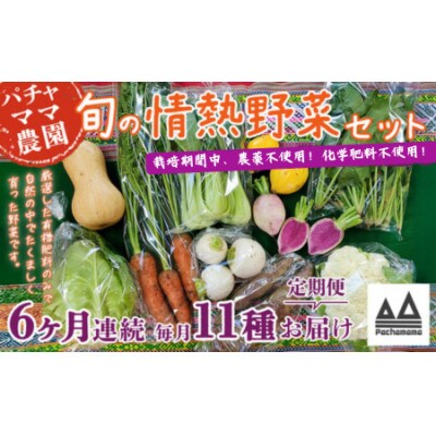【毎月定期便】農園自慢の情熱野菜セット11品(種類おまかせ) 全6回