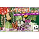 【毎月定期便】農園自慢の情熱野菜セット11品(種類おまかせ) 全12回