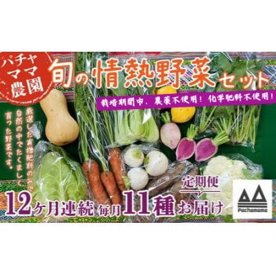 【毎月定期便】農園自慢の情熱野菜セット11品(種類おまかせ) 全12回
