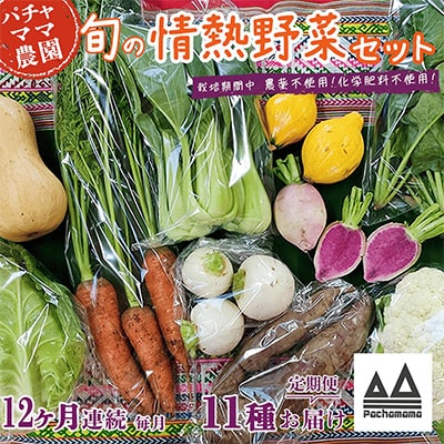 【毎月定期便】農園自慢の情熱野菜セット11品(種類おまかせ) 全12回