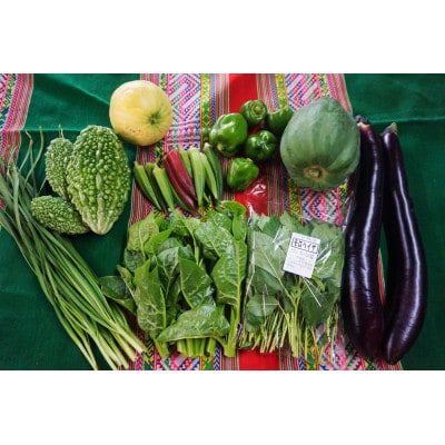 【毎月定期便】農園自慢の情熱野菜セット9品(種類おまかせ)全3回