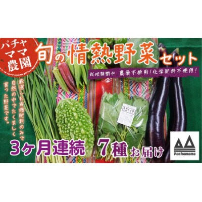【毎月定期便】農園自慢の情熱野菜セット7品(種類おまかせ)全3回