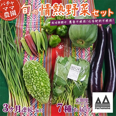【毎月定期便】農園自慢の情熱野菜セット7品(種類おまかせ)全3回