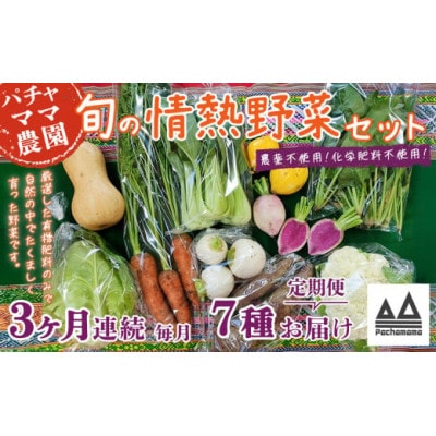 【毎月定期便】農園自慢の情熱野菜セット7品(種類おまかせ)全3回