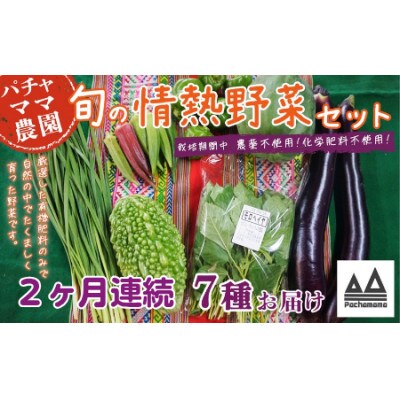 【毎月定期便】農園自慢の情熱野菜セット7品(種類おまかせ)全2回
