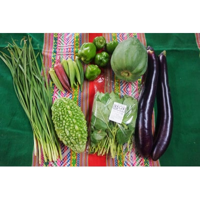 【毎月定期便】農園自慢の情熱野菜セット7品(種類おまかせ)全2回