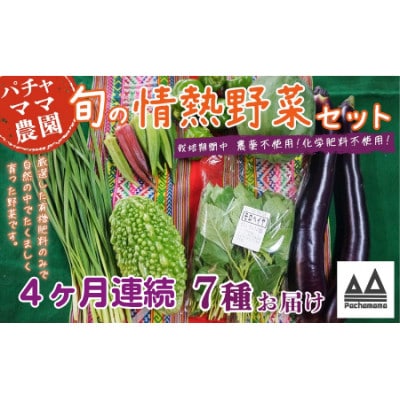 【毎月定期便】農園自慢の情熱野菜セット7品(種類おまかせ)全4回