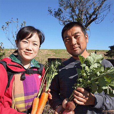 【毎月定期便】農園自慢の情熱野菜セット7品(種類おまかせ)全4回