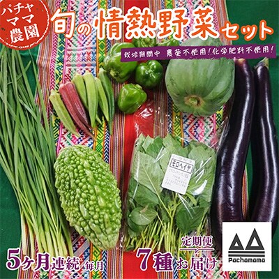 【毎月定期便】農園自慢の情熱野菜セット7品(種類おまかせ)全5回