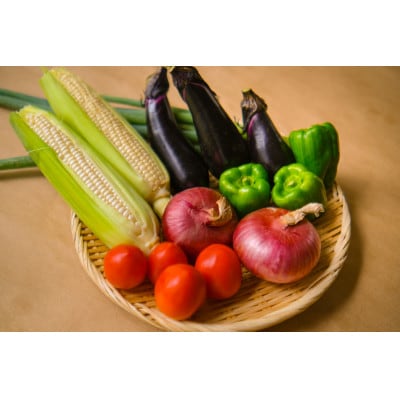 【毎月定期便】農園自慢の情熱野菜セット7品(種類おまかせ)全5回
