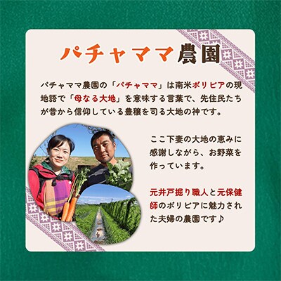 【毎月定期便】農園自慢の情熱野菜セット7品(種類おまかせ)全5回