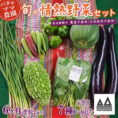【毎月定期便】農園自慢の情熱野菜セット7品(種類おまかせ)全6回