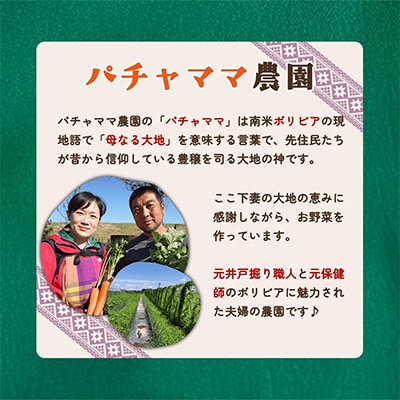 【毎月定期便】農園自慢の情熱野菜セット7品(種類おまかせ)全6回