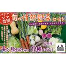 【毎月定期便】農園自慢の情熱野菜セット9品(種類おまかせ)全4回