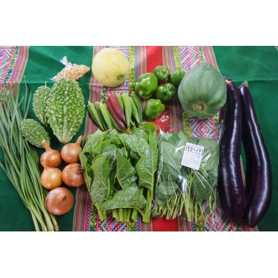 【毎月定期便】農園自慢の情熱野菜セット11品(種類おまかせ)全2回