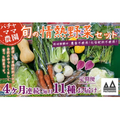 【毎月定期便】農園自慢の情熱野菜セット11品(種類おまかせ)全4回