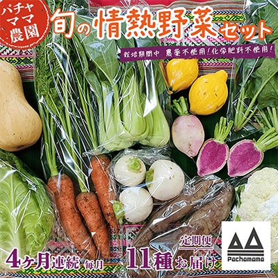 【毎月定期便】農園自慢の情熱野菜セット11品(種類おまかせ)全4回