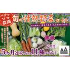 【毎月定期便】農園自慢の情熱野菜セット11品(種類おまかせ)全5回
