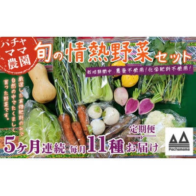 【毎月定期便】農園自慢の情熱野菜セット11品(種類おまかせ)全5回