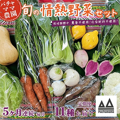 【毎月定期便】農園自慢の情熱野菜セット11品(種類おまかせ)全5回