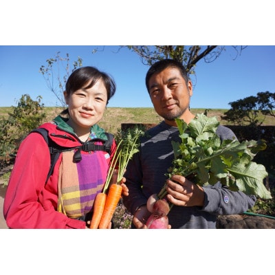 【毎月定期便】農園自慢の情熱野菜セット11品(種類おまかせ)全5回