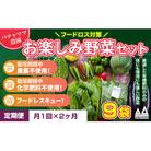 【毎月定期便】お楽しみ★農園自慢の情熱野菜セット9袋　フードロス対策　訳あり　規格外全2回