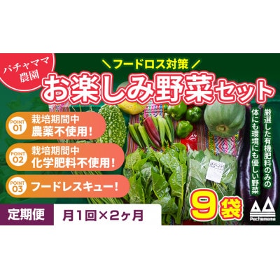【毎月定期便】お楽しみ★農園自慢の情熱野菜セット9袋　フードロス対策　訳あり　規格外全2回