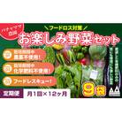 【毎月定期便】お楽しみ★農園自慢の情熱野菜セット9袋　フードロス対策　訳あり　規格外全12回