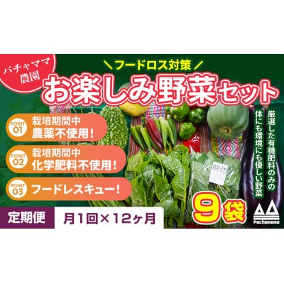 【毎月定期便】お楽しみ★農園自慢の情熱野菜セット9袋　フードロス対策　訳あり　規格外全12回