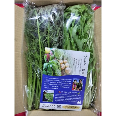 【毎月定期便】お楽しみ★農園自慢の情熱野菜セット7袋　フードロス対策　訳あり　規格外全4回