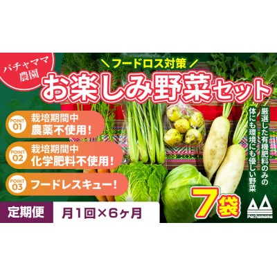 【毎月定期便】お楽しみ★農園自慢の情熱野菜セット7袋　フードロス対策　訳あり　規格外全6回